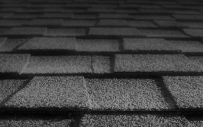 3 Things a Homeowner Should Know About their Roof